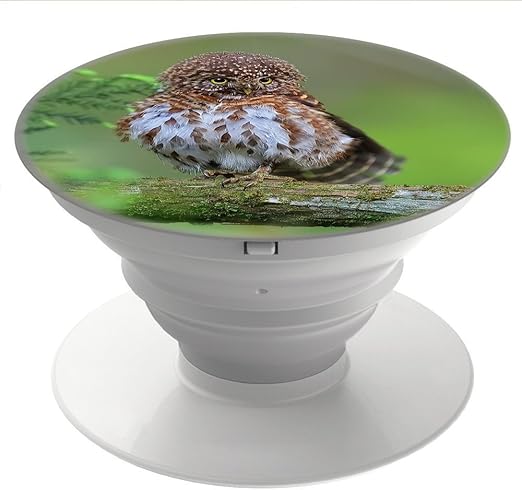 Amazon Com Posterazzi Jaunting Car At Muckross House Built In