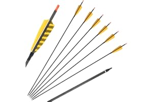32 Inch Carbon Archery Arrows，Spine 400 with Removable Tips, 4inch Turkey Feather, Hunting and Target Practice Arrows for Com
