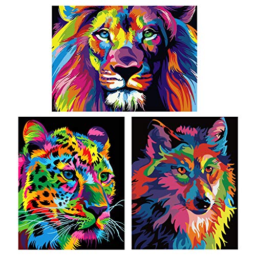 HSSports Paintworks Paint by Number Kit for Adults Kids Beginner, DIY