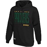 Outerstuff NFL Teams Men's Legendary Performance Hoodie
