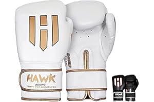 Hawk Sports Boxing Gloves for Men and Women, Comfy Boxing Training Gloves with Foam Padding for Throwing Power Punches with Confidence, Heavy Bag Boxing Gloves for Training and Sparring