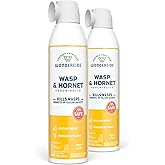 Wondercide - Wasp and Hornet Killer Aerosol Spray - 10 oz - 2 Pack | Kills Wasps, Hornets &amp; Yellow Jackets - With Natural Essential Oils - for Porch, Patio, and Outdoor Areas - Safe Around Pets