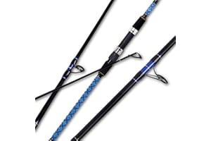 Fiblink Surf Spinning Fishing Rod Carbon Travel Surf Rod 2 Piece/3 Piece/4 Piece Spinning Fishing Rod 9'/10'/11'/12'/15'
