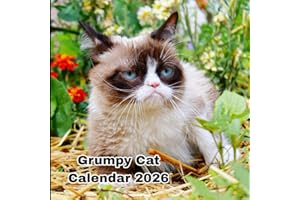 Grumpy cat calendar 2026