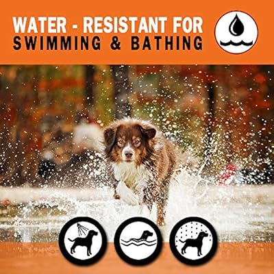 tuzik flea collar for dogs