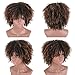 CNicehair Afro Synthetic Wigs Kinky Curly Short Hair For Black African American Women Costume Cosplay Party Wigs Dark Brown