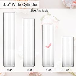Fixwal Flower Vases, 12" H x 3.5" W, Clear Glass