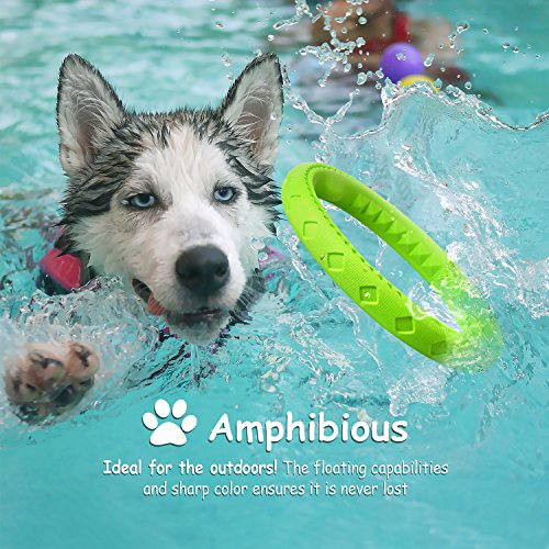 Fluffy Paws 9.7" Soft Durable Rubber Ring Dental Chewing Biting Chasing Training Toy, Green