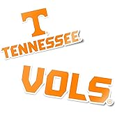 Desert Cactus University of Tennessee Sticker Tennessee Volunteers Vinyl Decal Laptop Water Bottle Car Scrapbook Sheet (4 Inch Set V1)