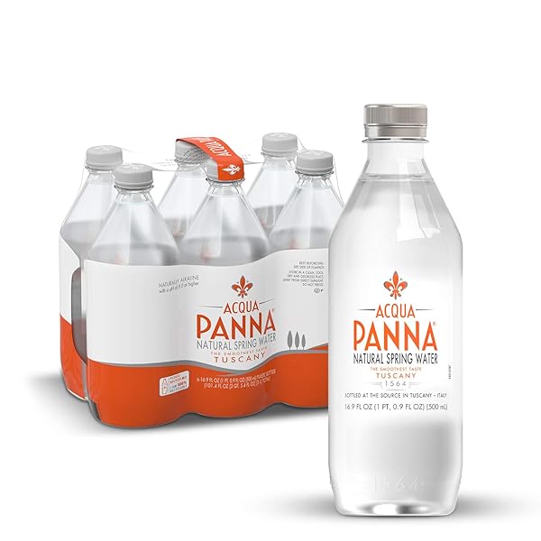 ACQUA PANNA NATURAL SPRING WATER, 16.9 FL. OZ. PLASTIC BOTTLES, PACK OF 6