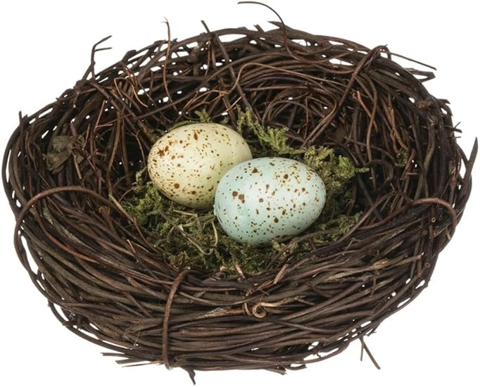 Amazon Com Sullivans Speckled Robin S Egg Blue Yellow Moss 4 Inch