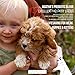 Agatha's Pet Wellness Elixir All Natural Daily Health Tonic for Pets of All Ages, 8 Ounces