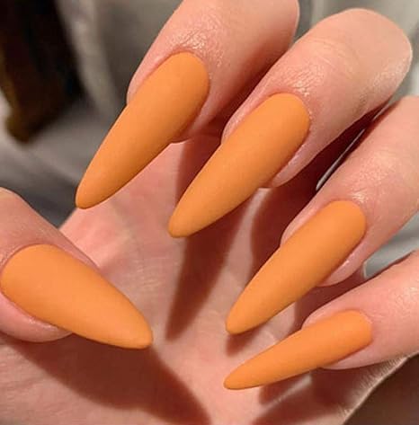 Amazon Zyss ネイルステッカー500枚の10インチサイズのフランスの釘偽のネイルチップが自然で透明偽のアクリルネイルマニキュア 1 Zyss ネイルチップ 通販