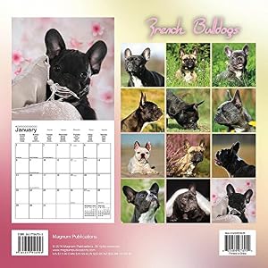 French Bulldog Calendar - 2017 Wall Calendars - Calendar 2016 - Dog Breed Calendars - Monthly Wall Calendar by Magnum