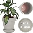vensovo Gray 8 Inch Terracotta Pot for with Drainage - 2 Pack Large Terra Cotta Plant Pot with Saucers, Flower Clay Pot with Tray, Terracotta pot for Indoor Outdoor