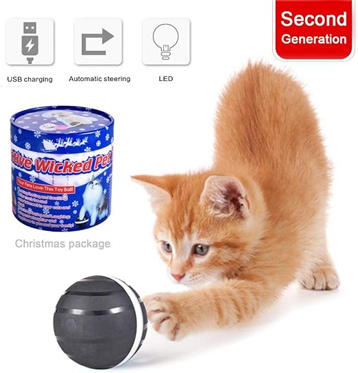 wicked ball for cats