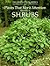 Plants That Merit Attention: Shrubs by Garden Club of America, Nancy Peterson Brewster