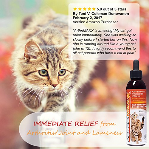 ArthriMaxx Wellness Supplement & Liquid Joint Support for Cats, 6oz