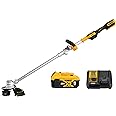 DEWALT 20V MAX* String Trimmer Kit, 5-Ah (DCST922P1)