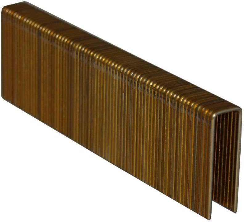 Complete C-GS16-1-5/8 1/2" Medium Crown Staple (10,000 Pack), 16 Gauge/1-5/8" Leg