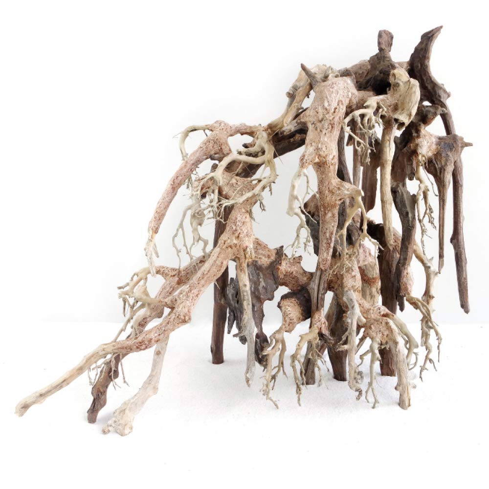 Amtra - Oriental Wind 1 wood, handmade, for aquarium, 22x13x18 CM