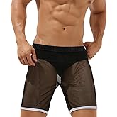ZONBAILON Mens Mesh Shorts Sexy Lounge Sparkling See Through Hollow Boxer Shorts Breathable