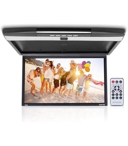 未使用・未開封品) Absolute DFL4008IRG 9.5-Inch TFT-LCD