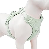 Sunraymascota No Pull Dog Harness, Puppy Vest with Front Clip for Small Medium Large Sized Dog(Light Green,L)