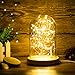 Erosom Glass Dome Lamp Bell Jar Display Dome Bamboo Base String USB LED Bedside Table Lamp with LED Warm Fairy Starry String Lights Ideal for Decoration Anywhere.(Warm White)