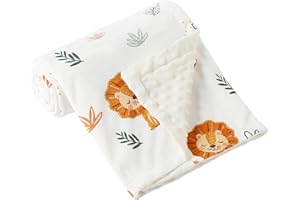 iEvolve Baby Blanket Ultra Soft Double Layer with Dotted Backing Receiving Blankets Toddler Baby Nursery Bed Blankets Shower 