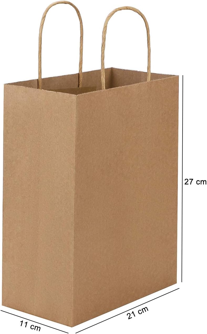 10Pcs Kraft Brown Paper Bags with Handle Paper Carrier Bags Paper Gift Bags Recycled Paper Packaging Bags for Grocery Baking Shopping Merchandise Boutique Retail Bags Food Takeaway Bags