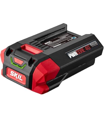 Amazon.com: SKIL SCN1000 10