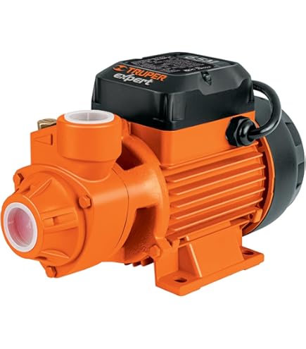 SKRm2 Pedrollo Single Phase 110V 60Hz Self-Priming Centrifugal