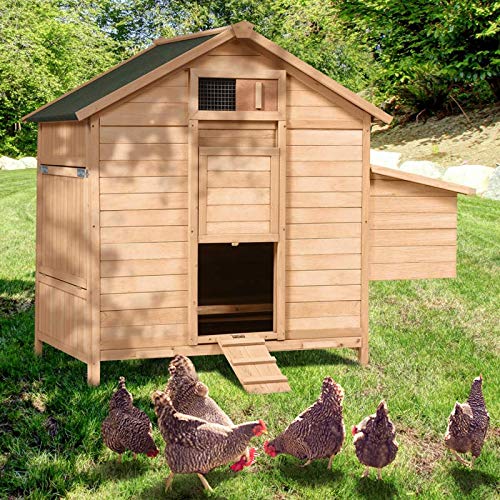 IDMarket - Poulailler Chalet en Bois 8 à 12 Poules avec pondoir