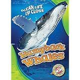 Humpback Whales (Ocean Life Up Close)