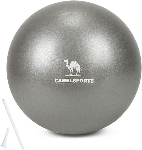 Camel - Pelota de ejercicio pequeña – 10 – 12 pulgadas Mini bola ...