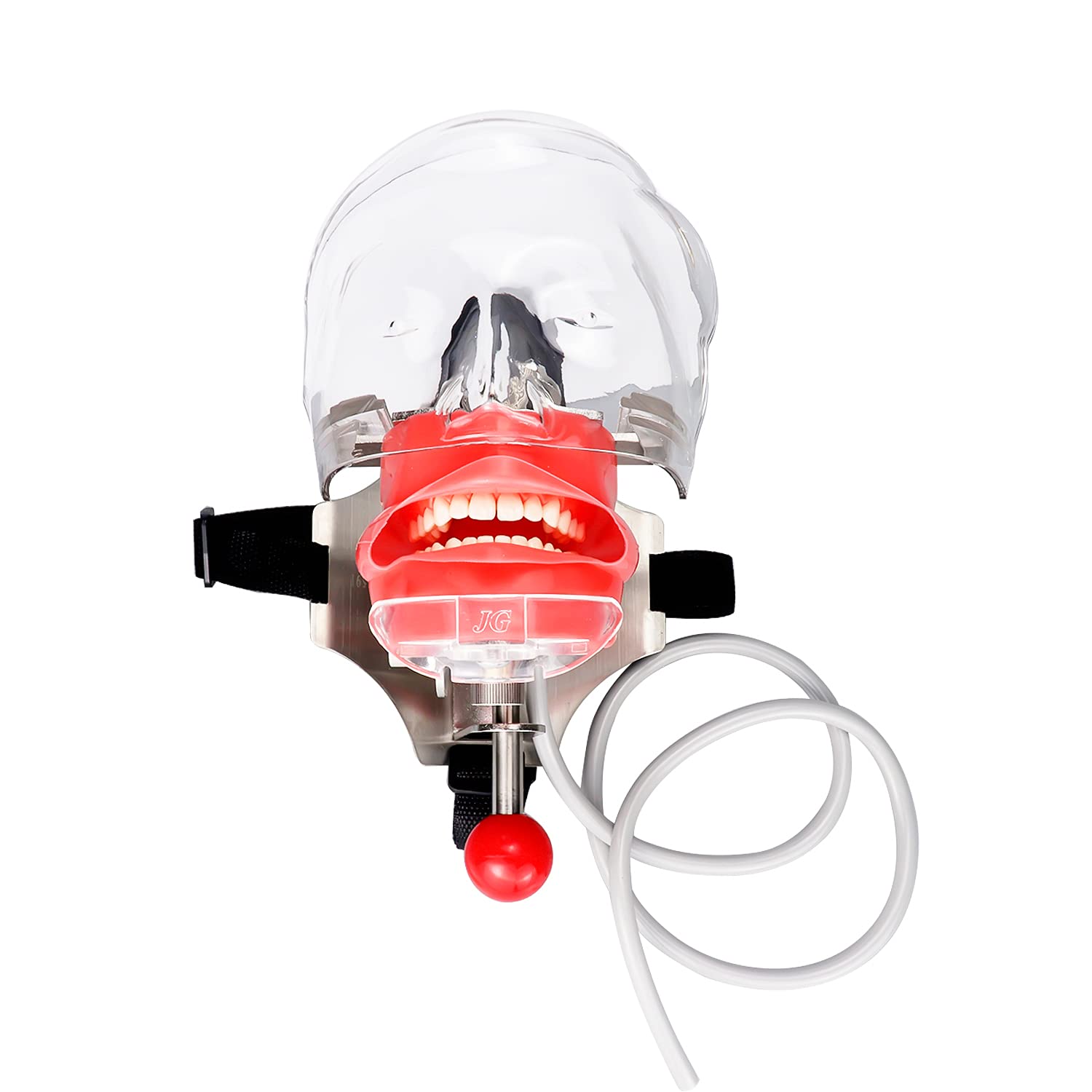 Simulator Manikin Phantom Head Dental Phantom Head Model with Bench Mount on Dental Chair