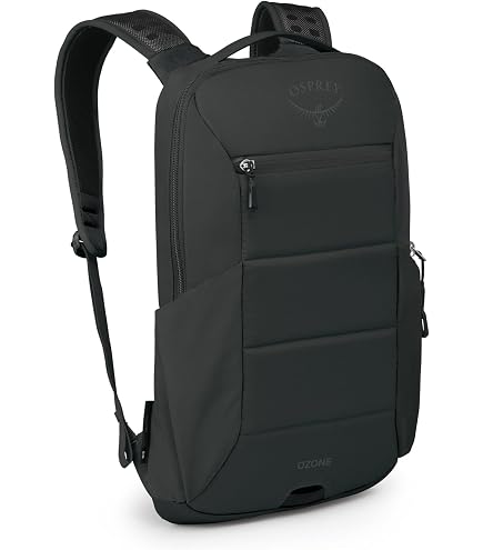 Osprey Astronova Campus Laptop Backpack, Black : Electronics