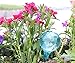 LeBeila Plant Watering Bulbs Globes 3 Small Automatic Self Watering Planter Stakes Glass Buld Balls for Indoor Outdoor Plants, Bonsai Potted Flowers, Garden Decorative Aqua Globs (3pcs, Multicolor)