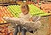 Suessie Shopping Cart Cover and High Chair Cover, Sweet Dreams