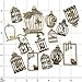 Youdiyla 100g Birdcage Charms Collection - Hollow Bird Cage Love Bird Cage Bird in a Cage Metal Pendants for Jewelry Making DIY Findings (Bronze HM30)