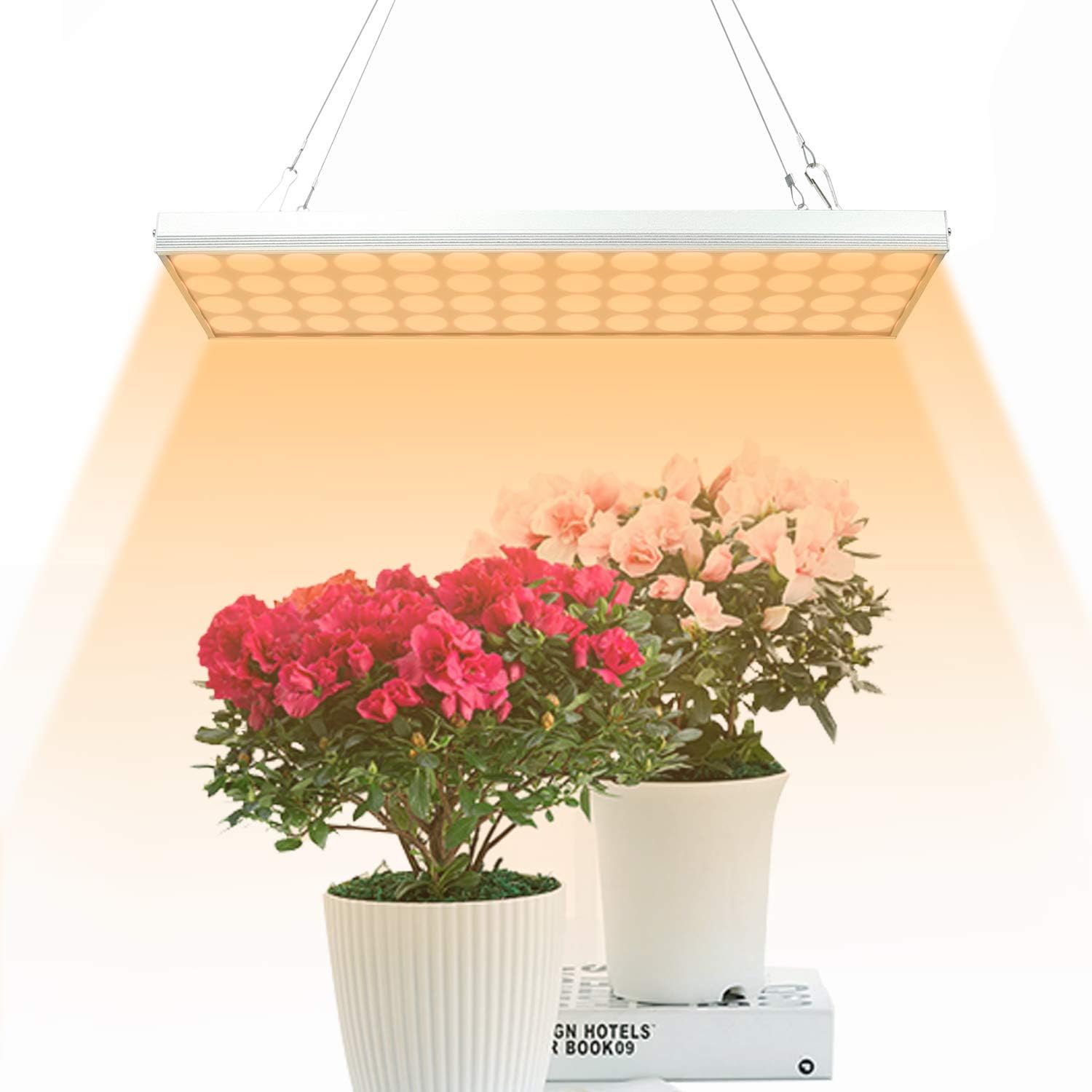 LED Grow Light for Indoor Plants,Sunlike Full Spectrum 50W Lamp Bulbs Growing Light with 3/9/12H Timer 10 Dimmable Brightness for Indoor Succulent Plants Growth(2020 Upgrade)