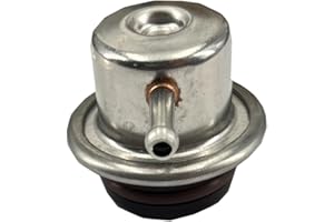 FainWan 1591057,Fuel Injection Pressure Damper Compatible with Crown Victoria 2003-2006 4.6L,Ranger 3.0L,Town Car 4.6L,B3000,3.0L,Tribute 3.0L,Grand Marquis 4.6L