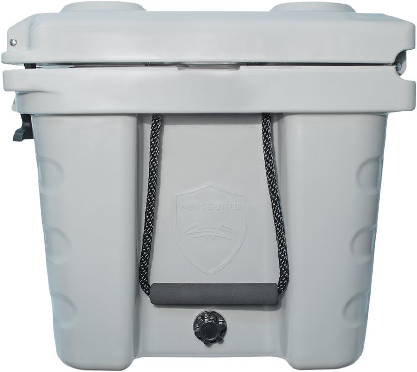 wet sounds cooler stereo