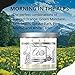 Aroma From Nature Morning in the Alps 14 oz Home Collection Scented Candle – 1 Pack – Aromatherapy Candles – Home Fragrance – Apothecary Glass With Triple Wickthumb 1