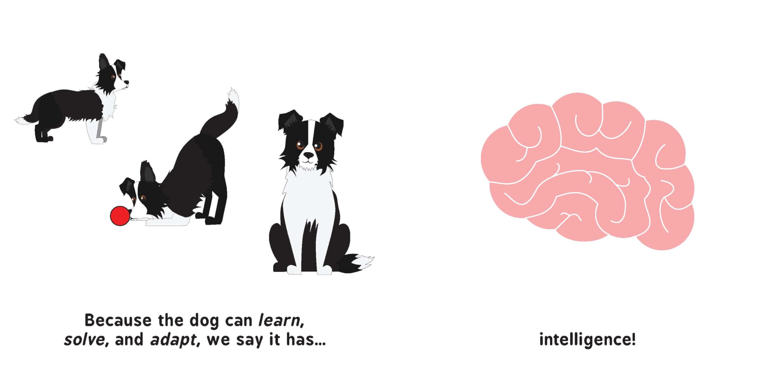 Artificial Intelligence for Babies (Baby University)
