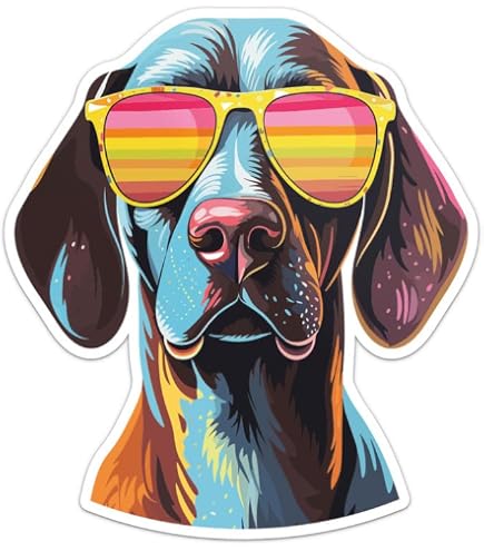 German Shorthaired Pointer hunt quail , Art  Poster for Sale by