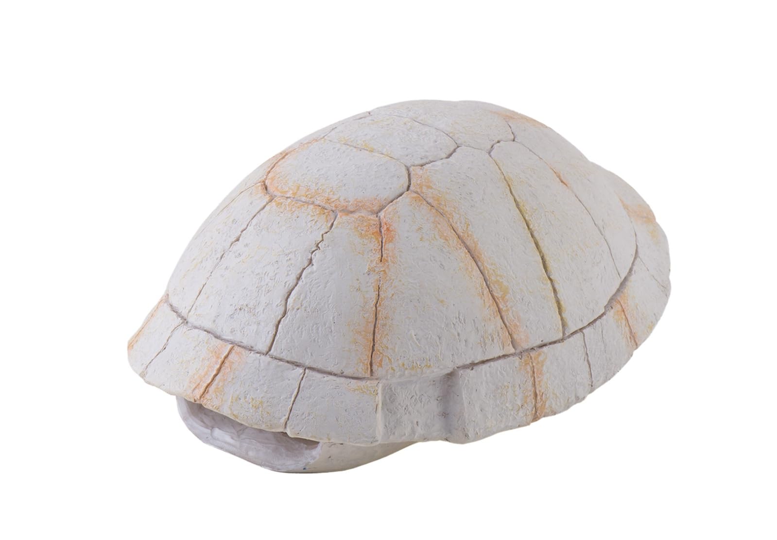 Exo Terra Tortoise Skeleton