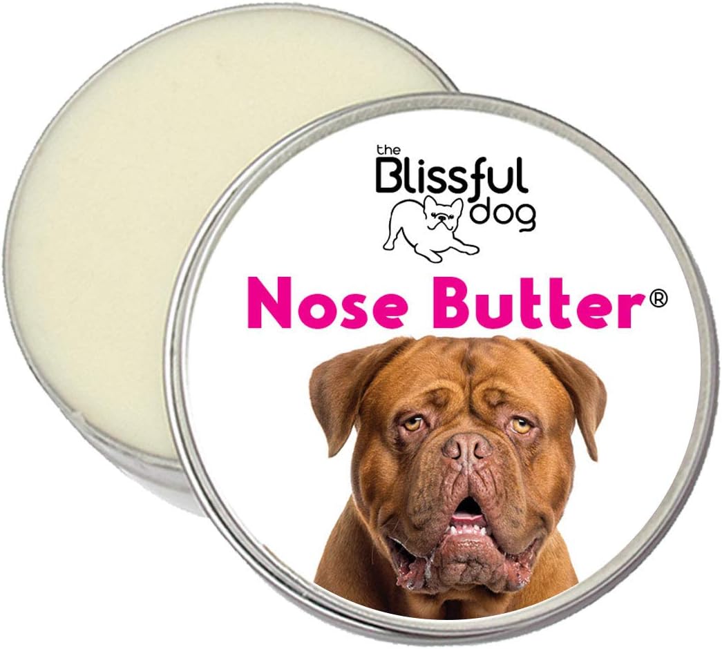 french mastiff collars