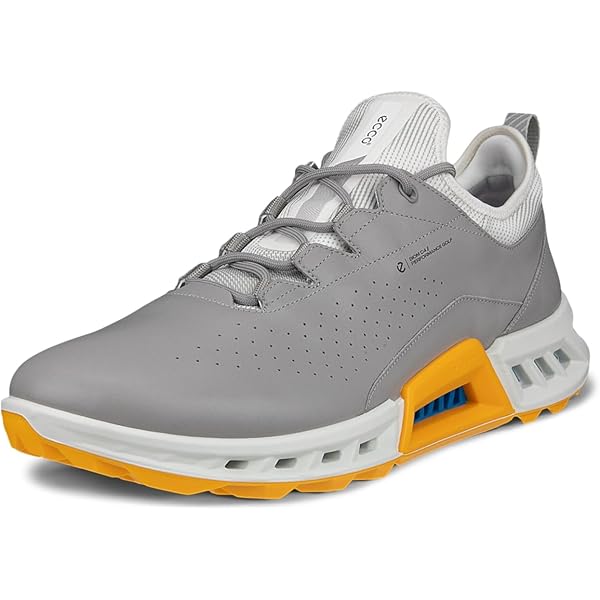 Amazon.com | Biom G5 Gore-TEX Waterproof, White/Blue Depths, 5-5.5